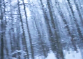 The Winter Woods Stashes Humungous Boners... 4K HD Tim Squad
